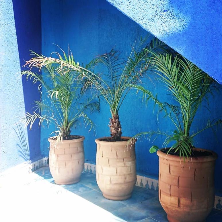Dar Massaneh Villa Essaouira Eksteriør billede